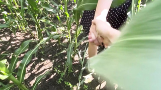 Mounts a bitch in a field of corn - Outdoor Sex